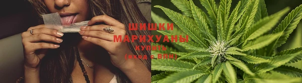 ГАЛЛЮЦИНОГЕННЫЕ ГРИБЫ Новокубанск