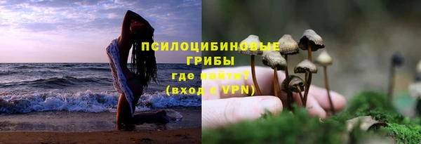 ГАЛЛЮЦИНОГЕННЫЕ ГРИБЫ Новокубанск