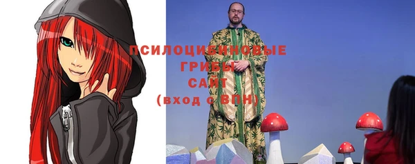 хмурый Новодвинск