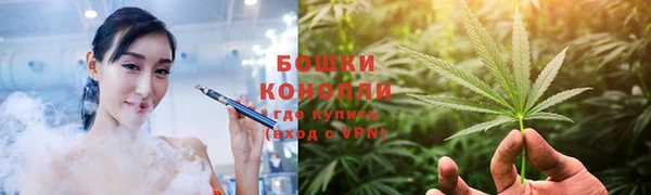 ГАЛЛЮЦИНОГЕННЫЕ ГРИБЫ Новокубанск