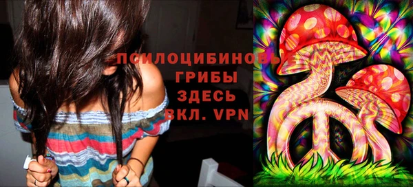 хмурый Новодвинск