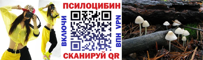Псилоцибиновые грибы Cubensis Кстово