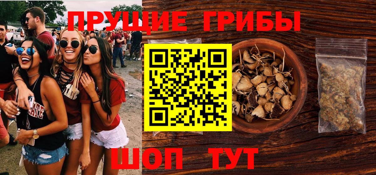 Псилоцибиновые грибы MAGIC MUSHROOMS  Вход с VPN  Псилоцибиновые грибы Psilocybe  Кстово 